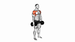Dumbbell Lateral to Front Raise